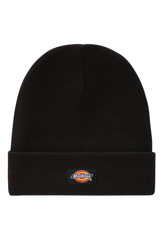 Gorro Dickies Gibsland Negro