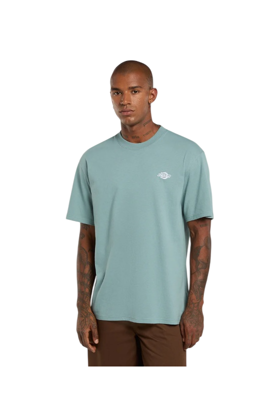 Camiseta Dickies Summerdale...
